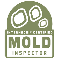 Mold Inspector